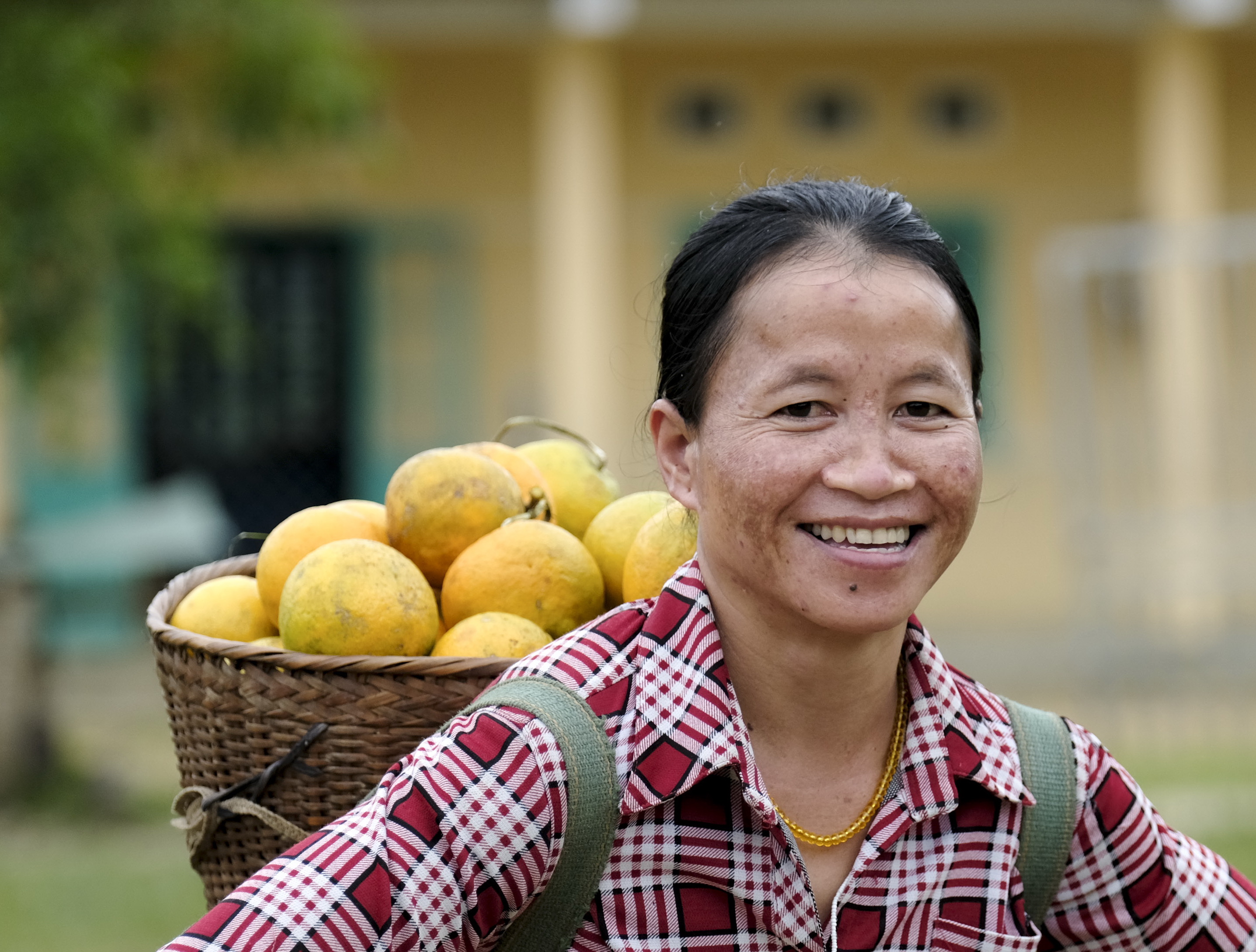 A woman smiles with a basket filled with mountain oranges in Gary Commune, Quang Nam Province. Photo: Tuoi Tre