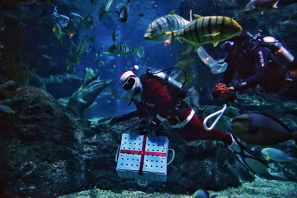 The aquarium is located in Bangkok's famed Siam Paragon mall. Photo: AFP