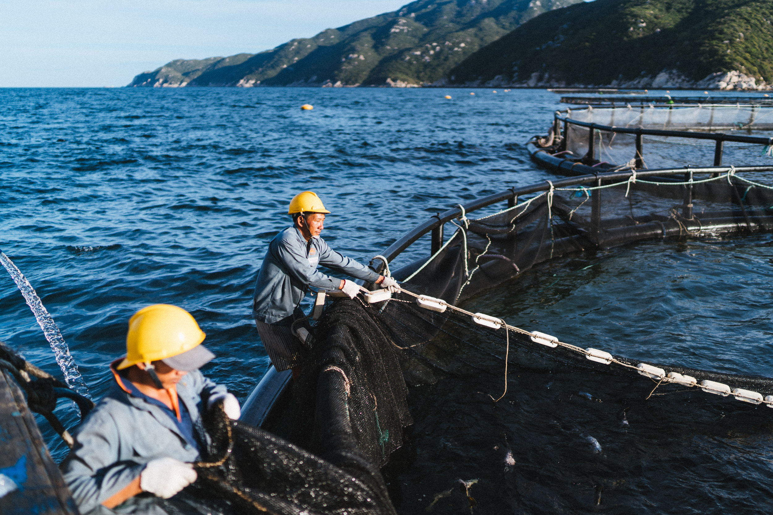 US firm with climate-smart ocean farming in Vietnam receives State’s award