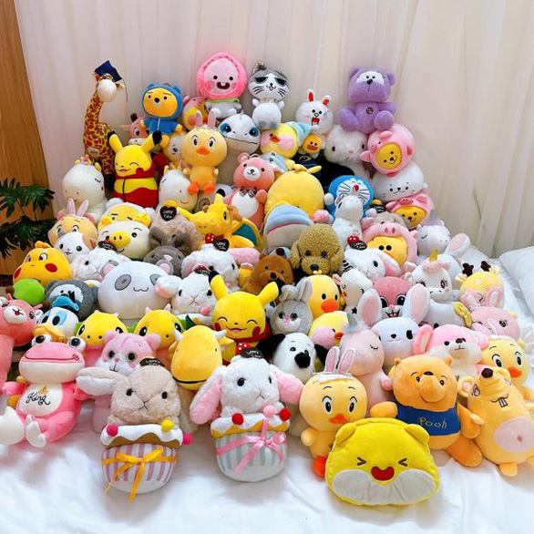 The cuddly toys that Le Nhu gave to the disadvantaged children in the northern mountainous province of Ha Giang in November 2021 in a supplied photo.