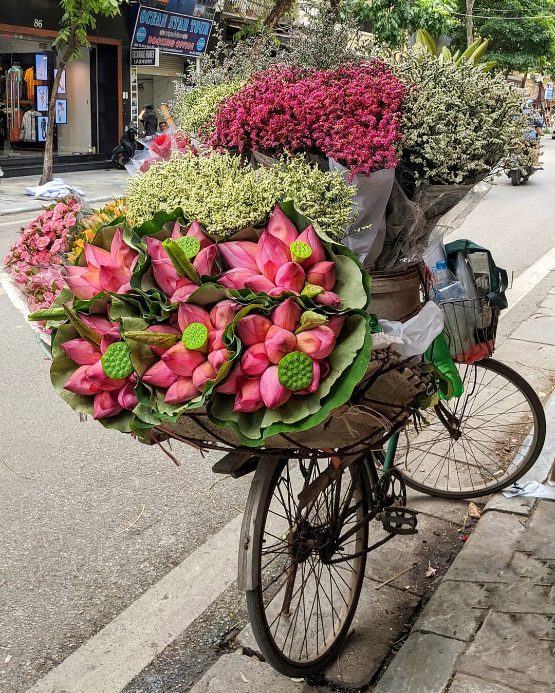 A photo show a street vendor selling flowers on a bicycle capture in Hanoi by Katie Lockhart