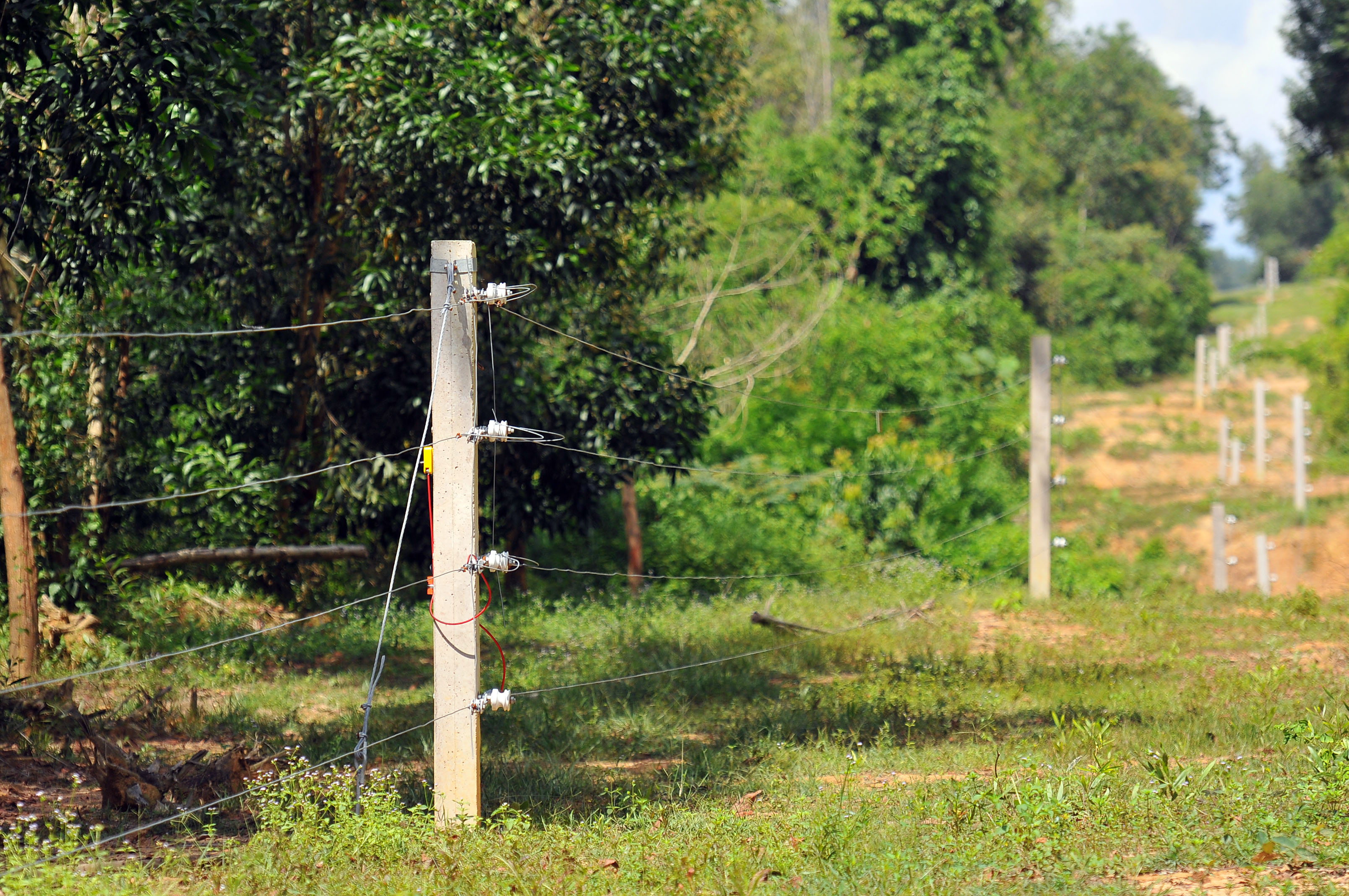A section of the electric fence aimed at protecting forest elephants in Dong Nai Province, Vietnam. Photo: A Loc / Tuoi Tre