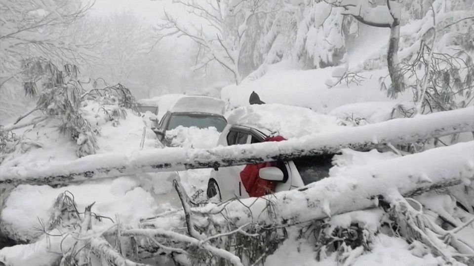 Vehicles stuck under fallen trees are seen on a snowy road, in Murree, northeast of Islamabad, Pakistan in this still image taken from a video January 8, 2022. Photo: PTV/REUTERS TV via REUTERS
