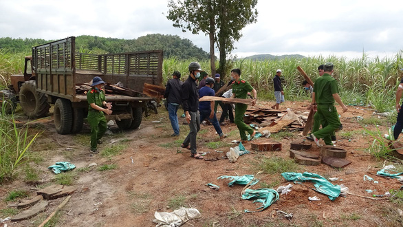 In Vietnam, rangers among 40 people indicted in deforestation case