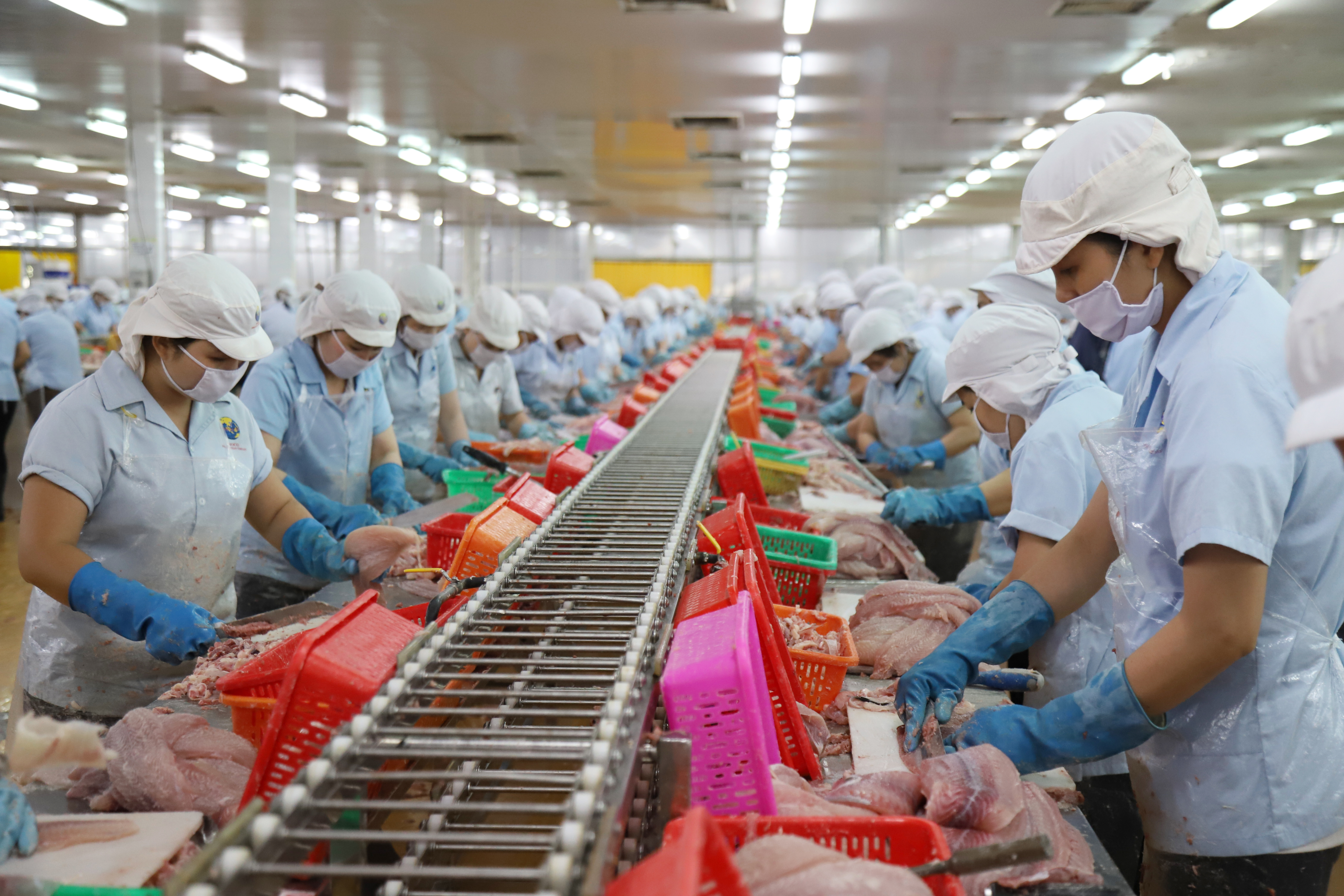 Vietnam maintains trade surplus for sixth consecutive year despite COVID-19 impact
