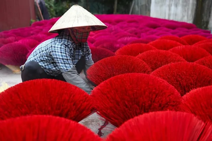 COVID-19 pall over Vietnam's pink incense village as Lunar New Year nears