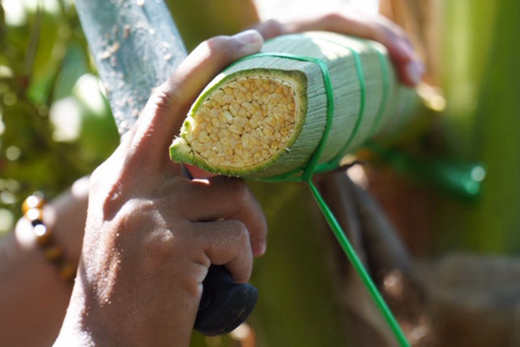 Have you ever tasted Vietnamese coconut nectar?
