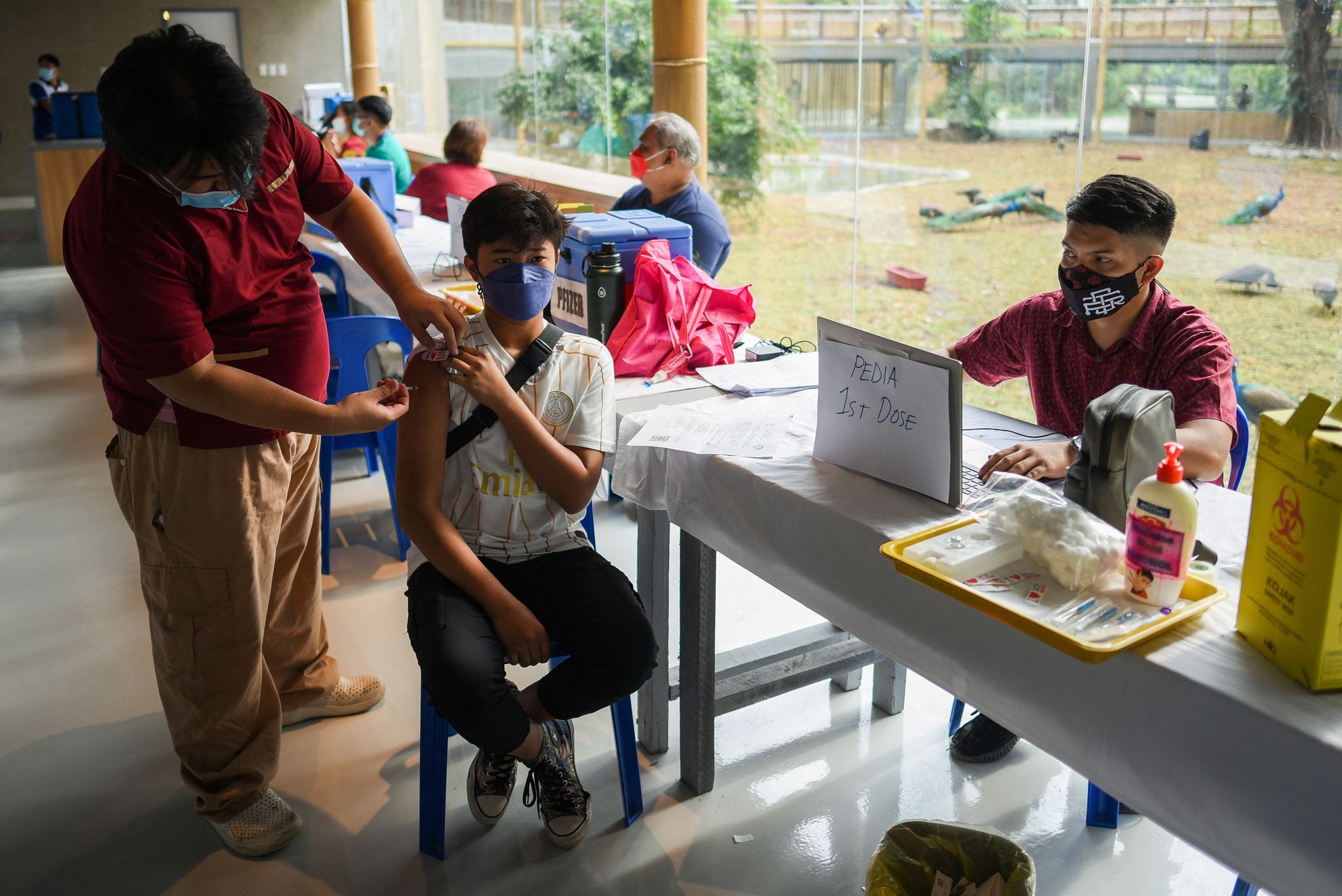 A health worker inoculates a boy with a Pfizer coronavirus disease (COVID-19) vaccine, at Manila Zoo, in Manila, Philippines, January 19, 2022. Photo: Reuters