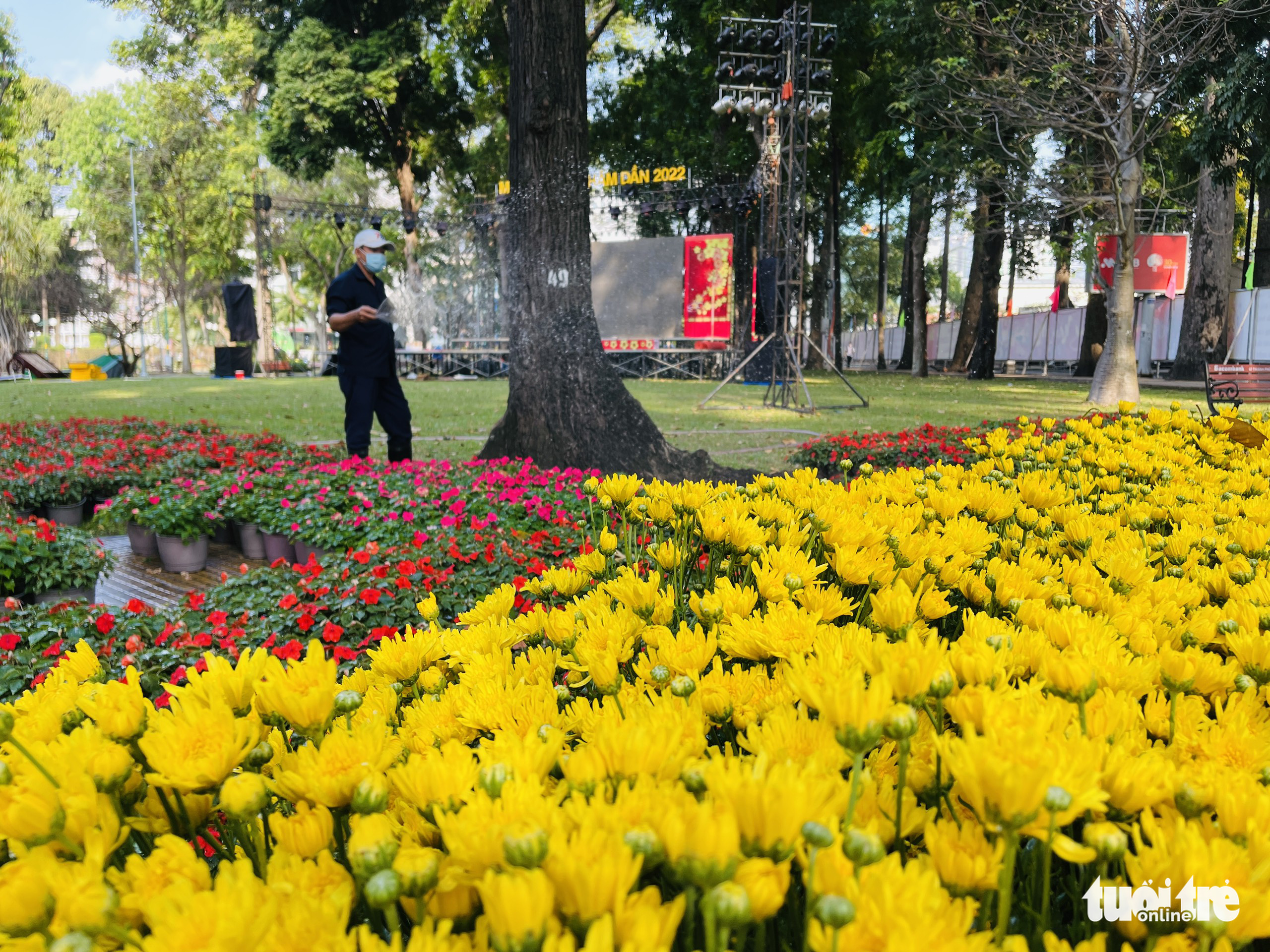 Potted flowers are brought to Tao Dan Park in Ho Chi Minh City, January 23, 2022. Photo: Le Phan / Tuoi Tre