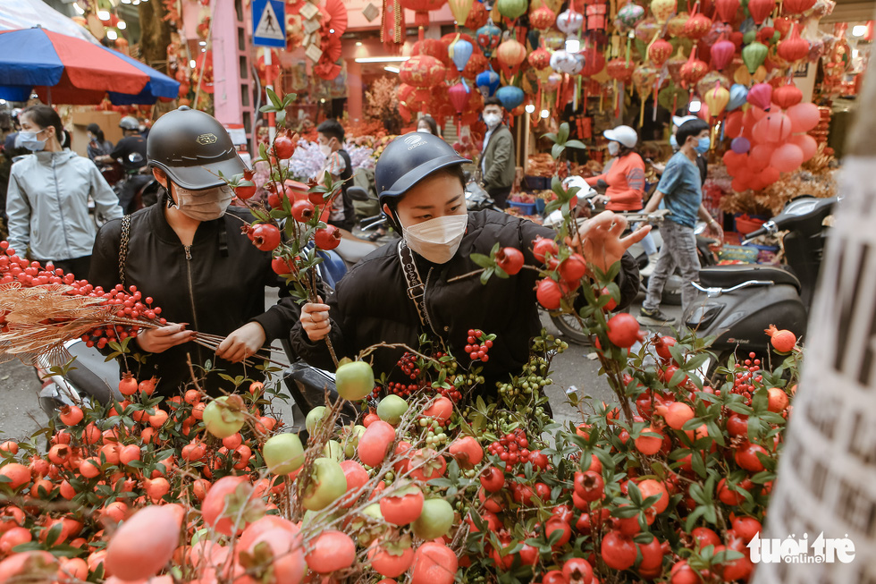 Locals choose artificial plants at the Hang Luoc Market in Hoan Kiem District, Hanoi. Photo: Ha Quan / Tuoi Tre