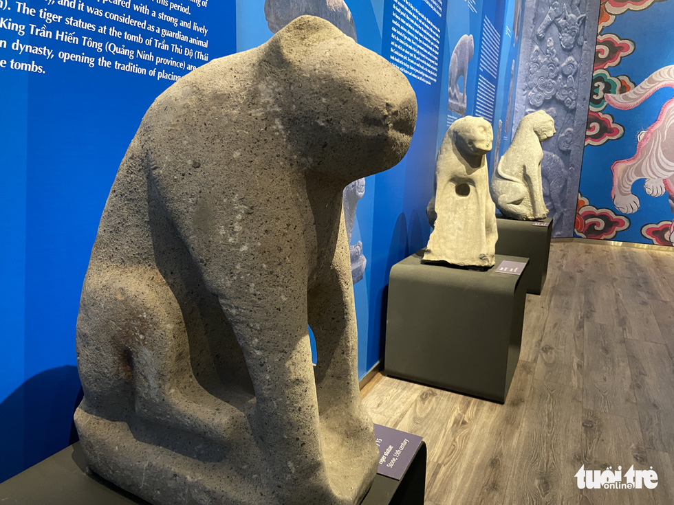 Tiger sculptures are displayed at the ‘Tigers in Ancient Vietnamese Art’ exhibition in Hanoi’s National Historical Museum. Photo: Thien Dieu / Tuoi Tre