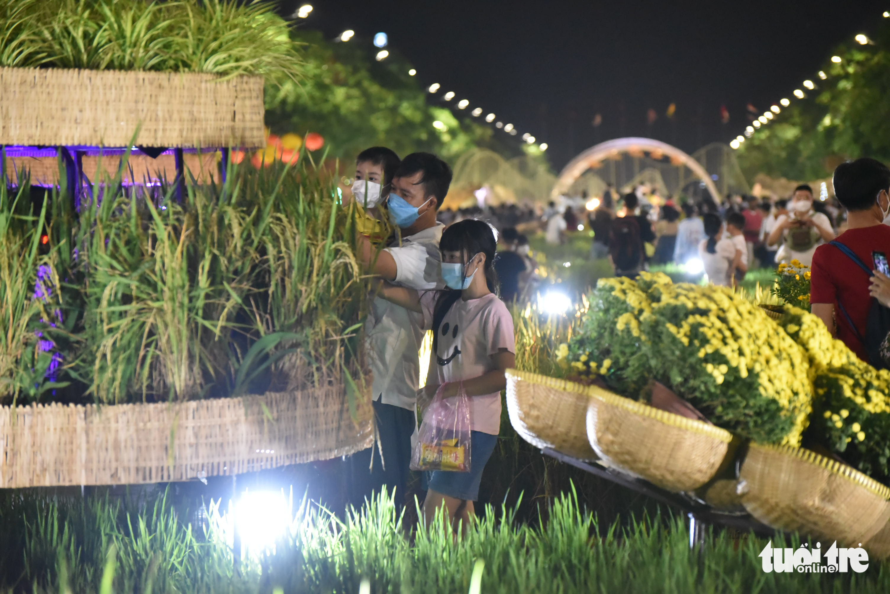 A rice paddy field mini scene is seen on the Nguyen Hue Flower Street in District 1, Ho Chi Minh City, January 29, 2022. Photo: Tuoi Tre