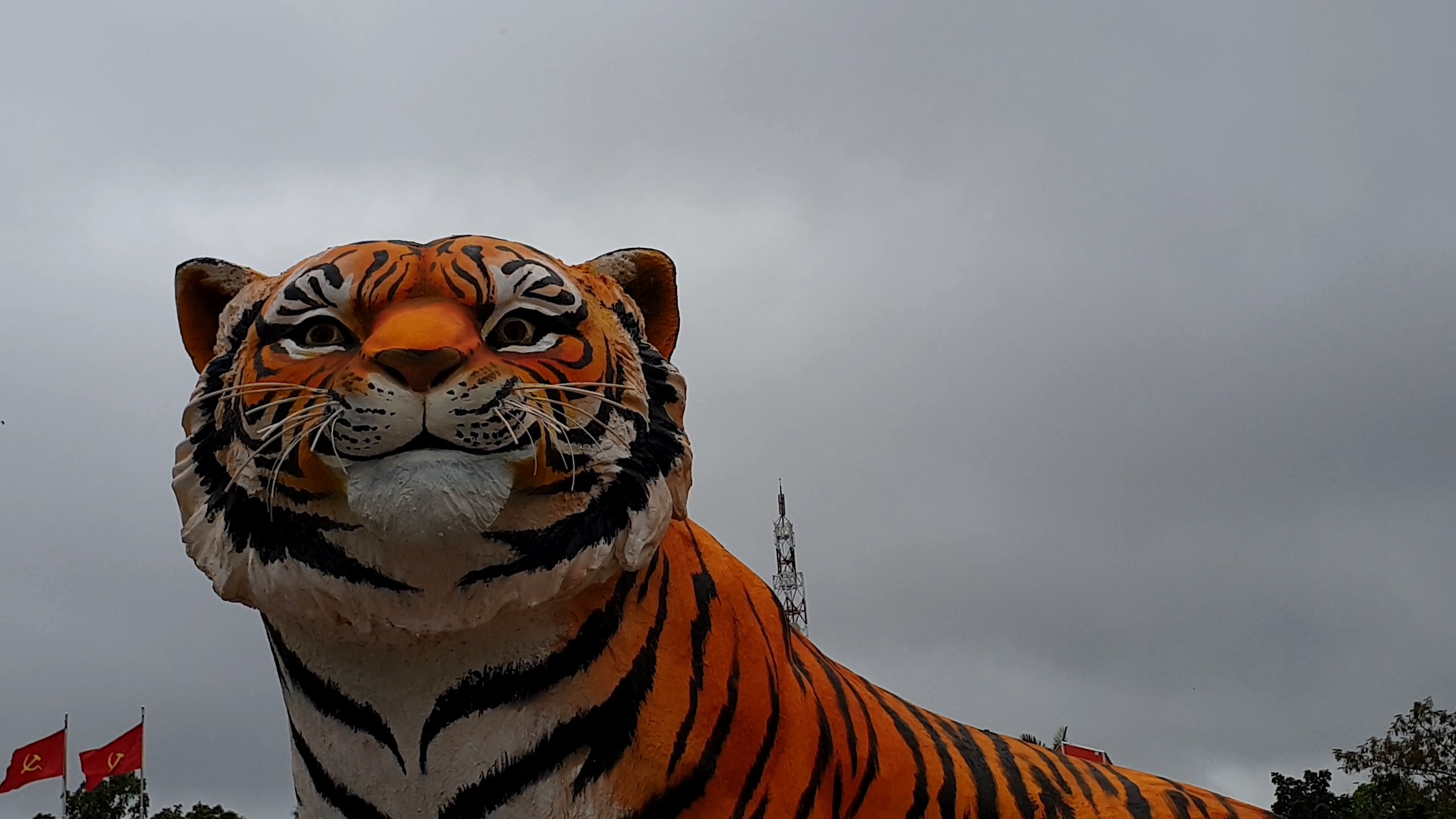 A close-up view of the tiger statue at Le Duan Park, Dong Ha City, Quang Tri Province. Photo: Quoc Nam / Tuoi Tre