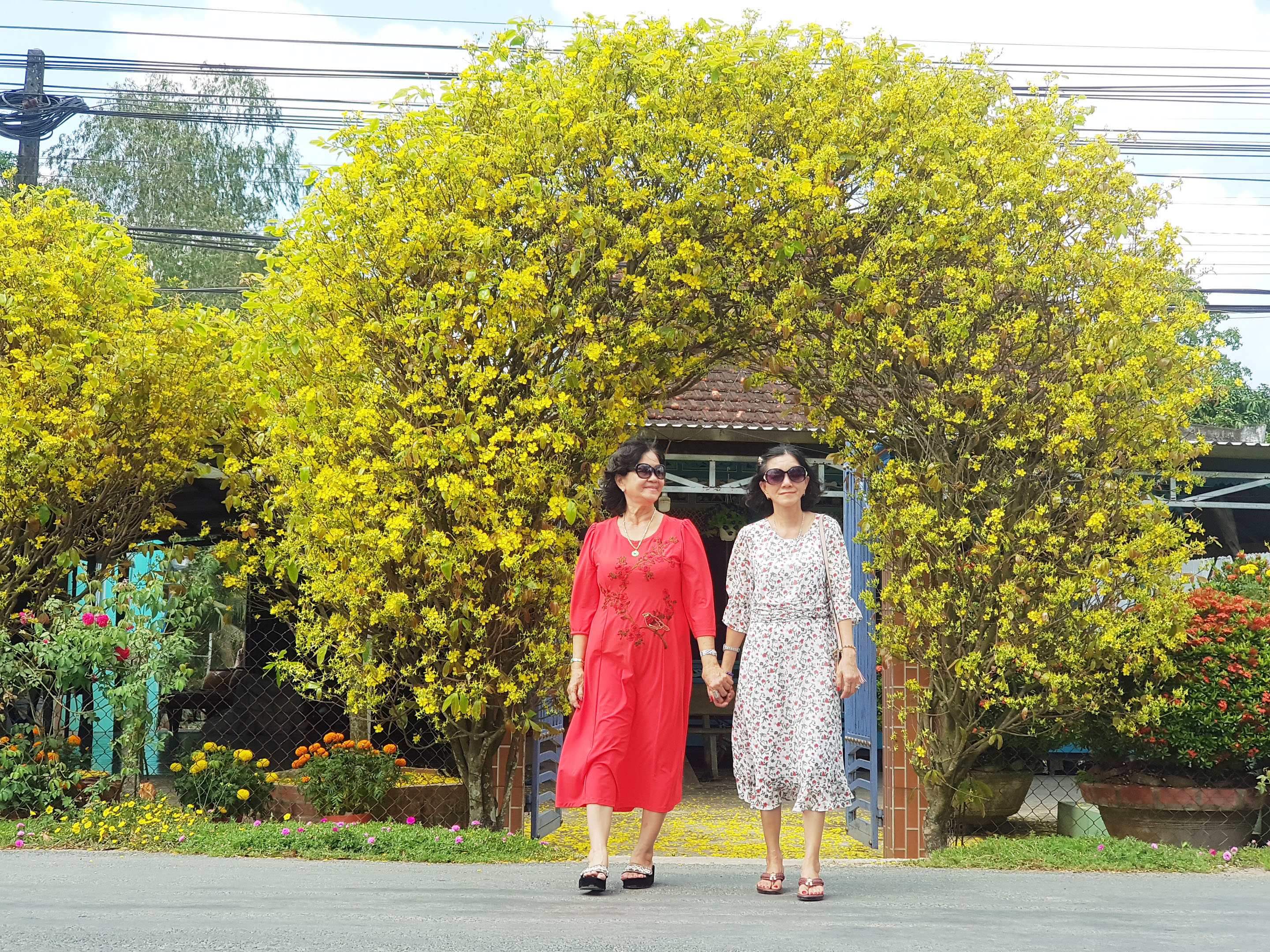 Le Thi Mang (left) and her younger sister Le Thi le pose for a photo in front of Vo Van Banh’s house gate grown from two yellow apricot blossom trees in the Mekong Delta province of An Giang’s Thoai Son District on February 3, 2022. Photo: Ngoc Khai / Tuoi Tre