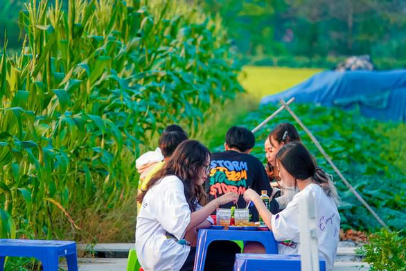 Young diners enjoy their food at a vegan stall next to a paddy field in the southern city of Can Tho. Photo: T. Luy