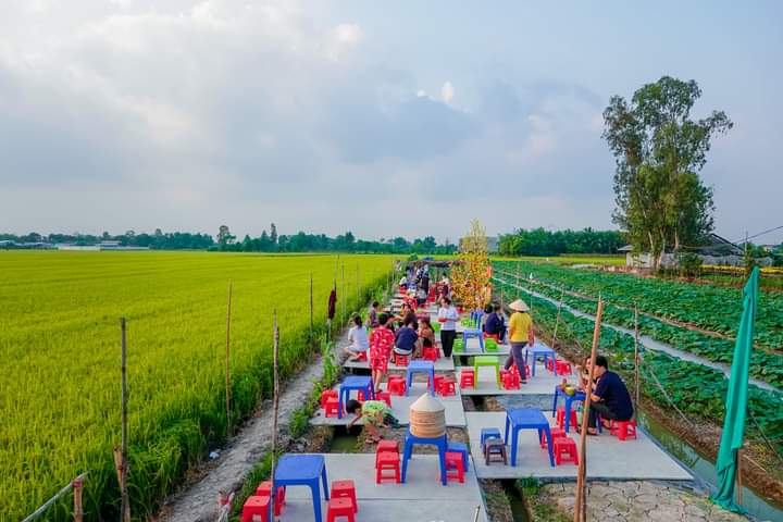 Diners enjoy their food at a vegan stall next to a paddy field in the southern city of Can Tho. Photo: T. Luy