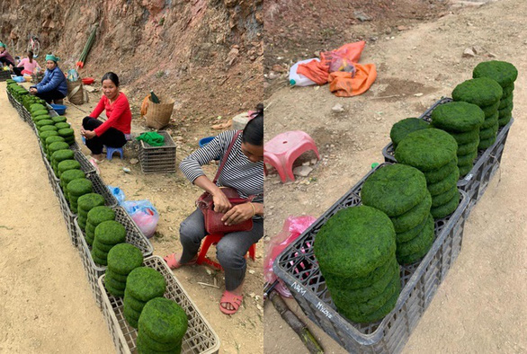 A collage of photos showing local people selling processed moss along a road in the northwest region of Vietnam.