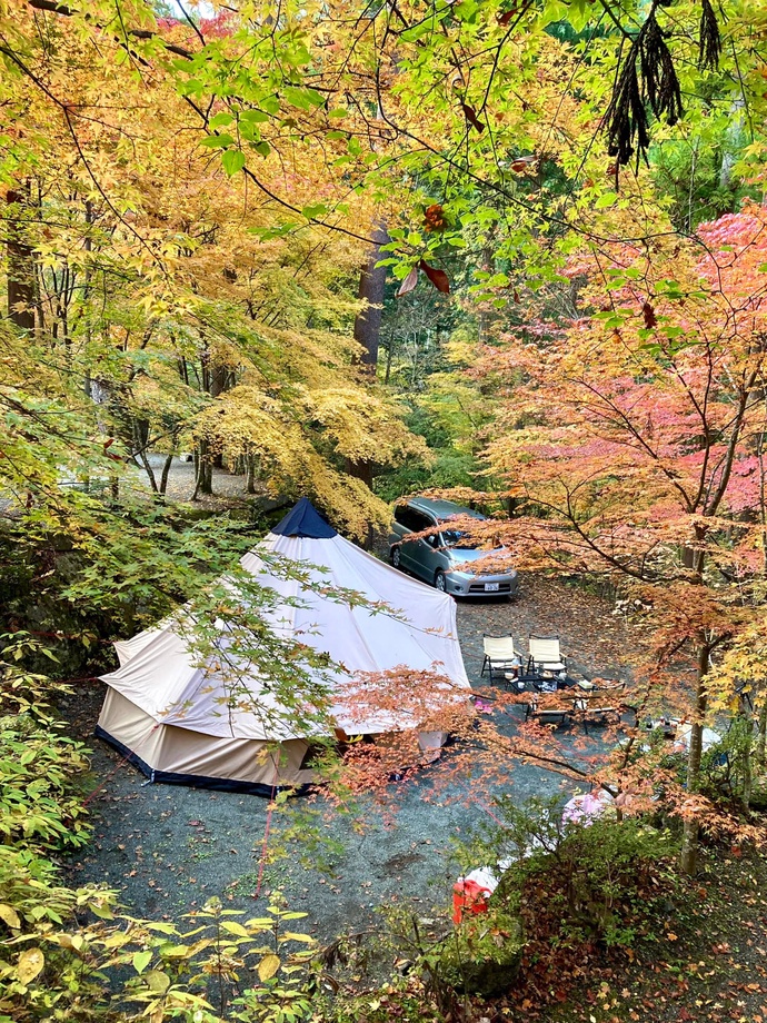 Dao Nguyen Dung and his family camp at the Toyanosawa Auto campsite in Yamanashi Prefecture, Japan in fall 2021. Photo: Nha Sakura