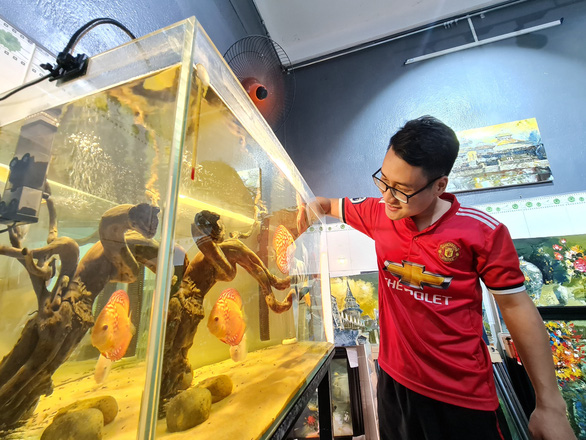 ‘Hotels’ for fish new trend amongst Vietnamese pet keepers