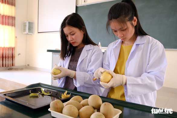 Students Nguyen Huyen Bao Tram and Le Thi Ngoc Anh peel the skin of sapodillas for air drying. Photo: Nguyen An / Tuoi Tre