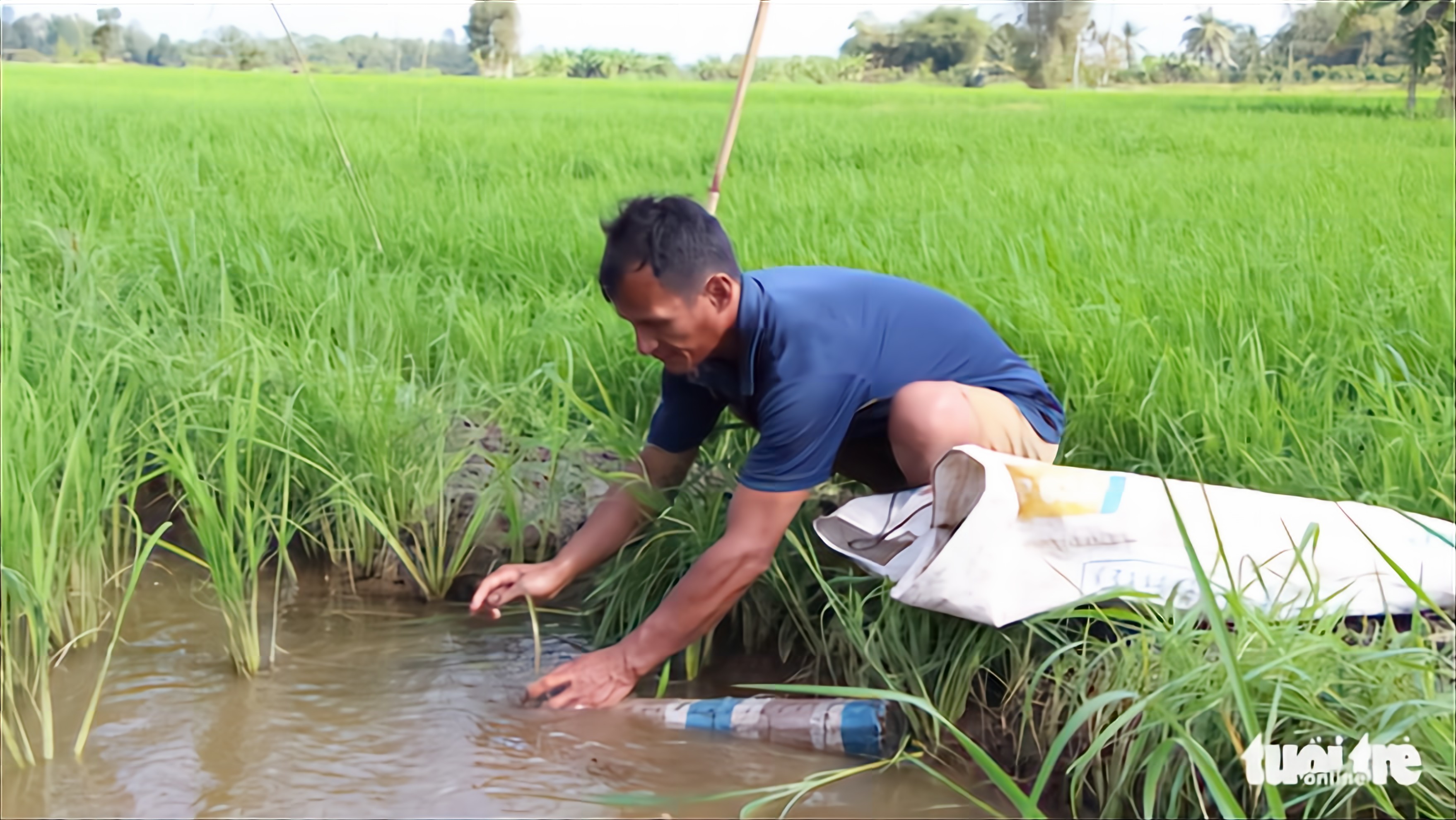 In Vietnam, blind farmer inspires the sighted