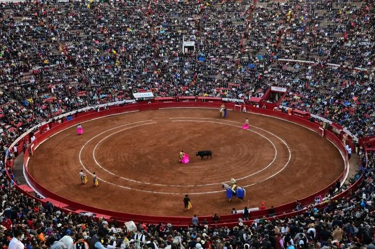 Mexico is a bastion of bullfighting and at its heart sits the Plaza de Toros, the world's biggest bullring. Photo: AFP