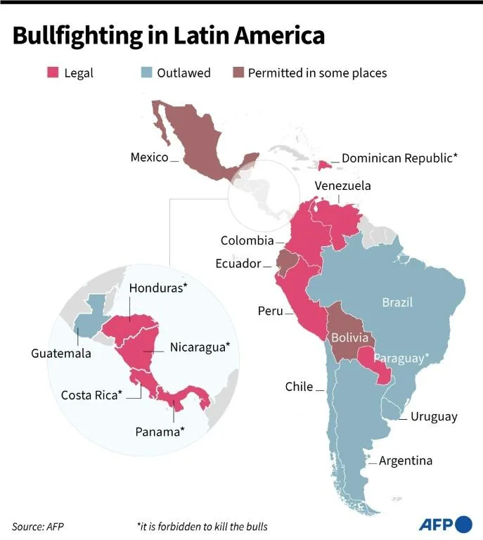 Map showing countries in Latin America where bullfighting is legal, outlawed and permitted in some areas. Photo: AFP