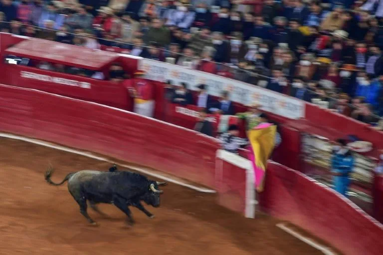 Bullfighting is big business in Mexico, where it generated $343 million in 2018. Photo: AFP