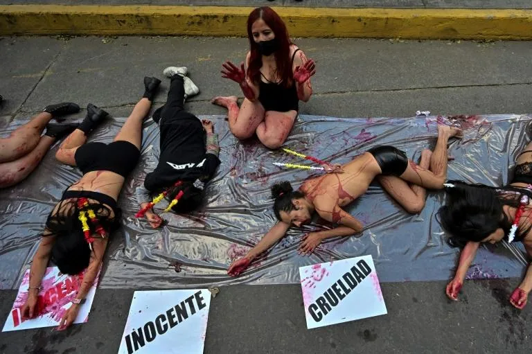 Anti-bullfighting activists demonstrate outside the Plaza Mexico bullring in Mexico City. Photo: AFP