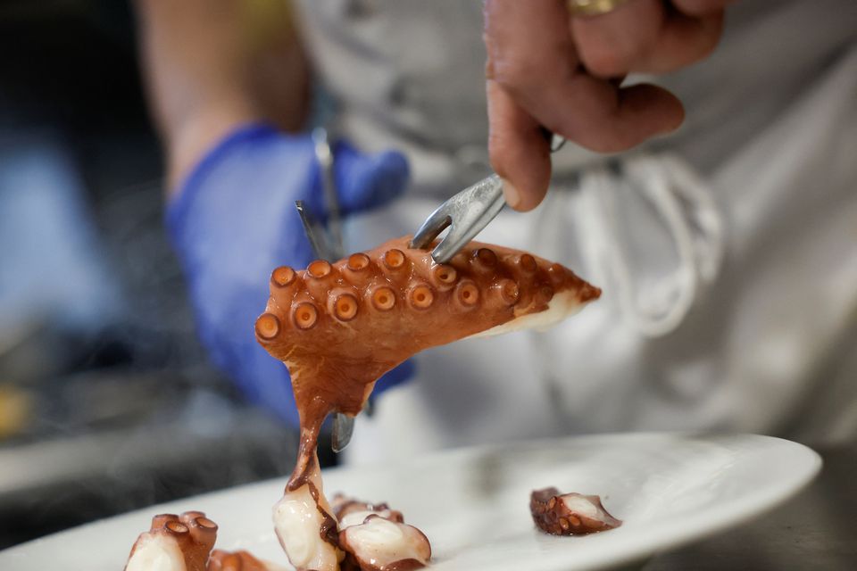 David Galvez, chef at the Casa Gallega restaurant, prepares an octopus to serve after cooking it in the traditional Galician way in Madrid, Spain, February 2, 2022. Photo: Reuters