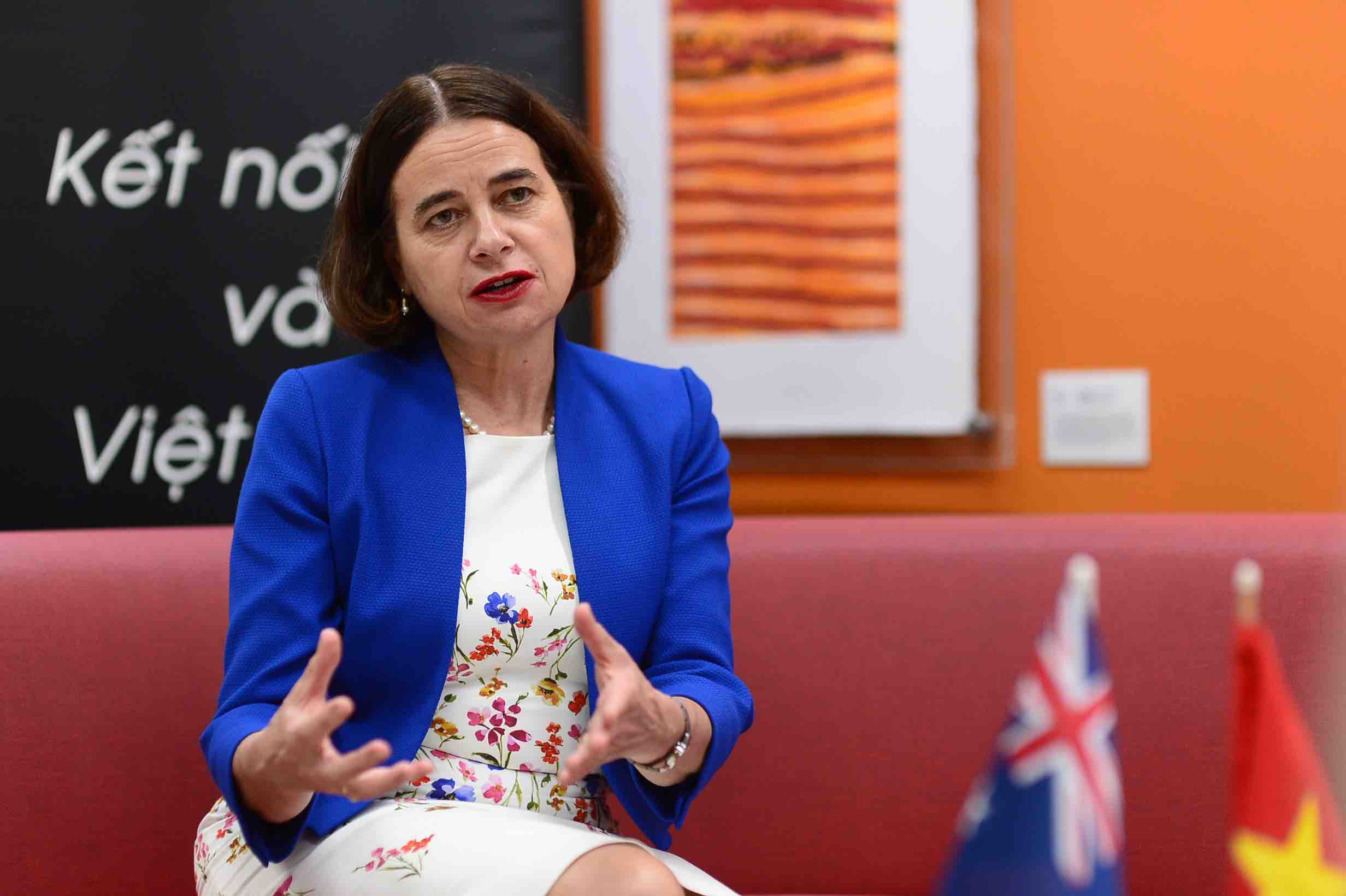 'We see Vietnam as an increasingly important regional strategic partner': Australian Ambassador Mudie
