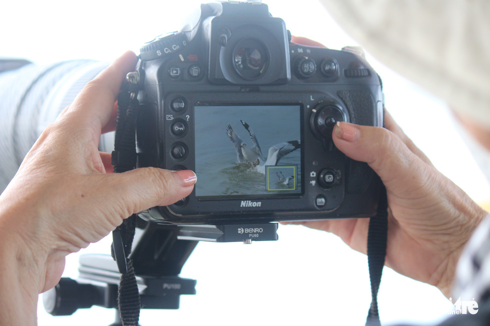 A photographer shows her photo of seagulls at a beach in Rach Gia City, Kien Giang Province, Vietnam. Photo: Chi Cong / Tuoi Tre