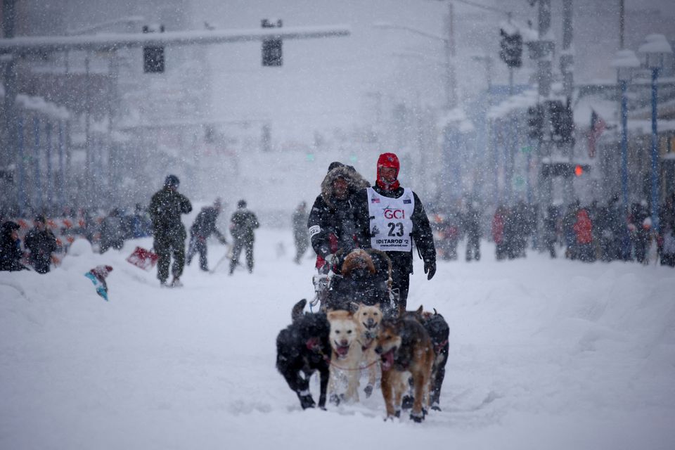 Aaron Burmeister during the ceremonial start of the 50th Iditarod Trail Sled Dog Race in Anchorage, Alaska, U.S. March 5, 2022. Photo: Reuters