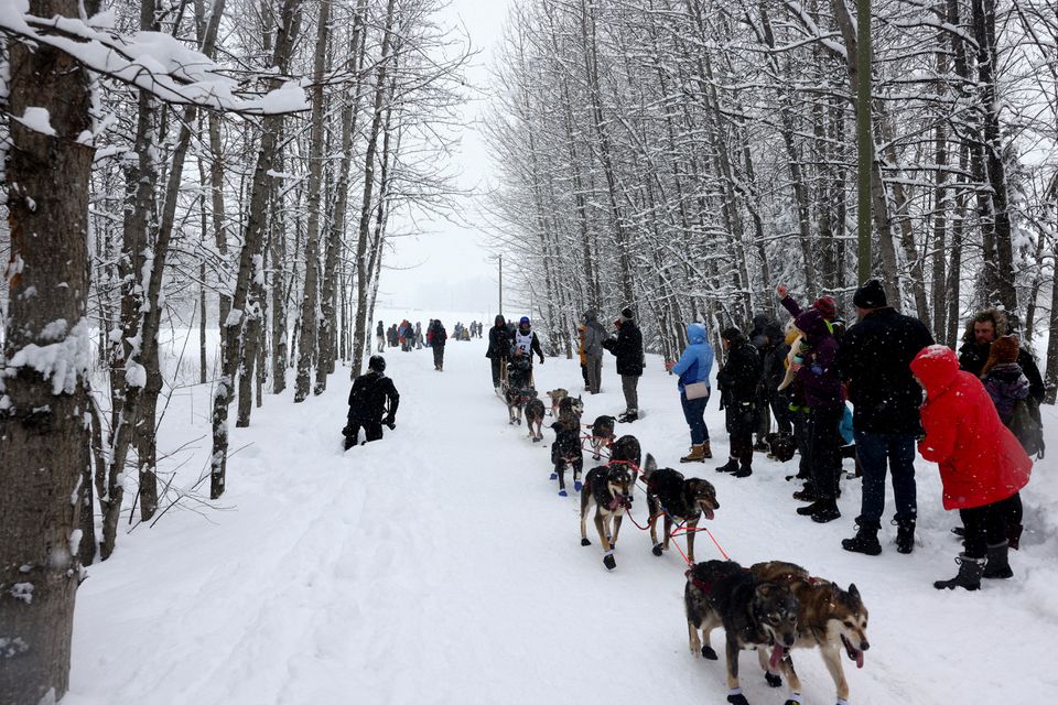 Travis Beals during the ceremonial start of the 50th Iditarod Trail Sled Dog Race in Anchorage, Alaska, U.S. March 5, 2022. Photo: Reuters