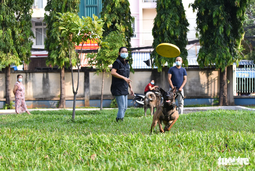 Kim and her husband Nguyen Tran Nam often take their dogs out for training every week, from Monday to Friday. Photo: Ngoc Phuong / Tuoi Tre