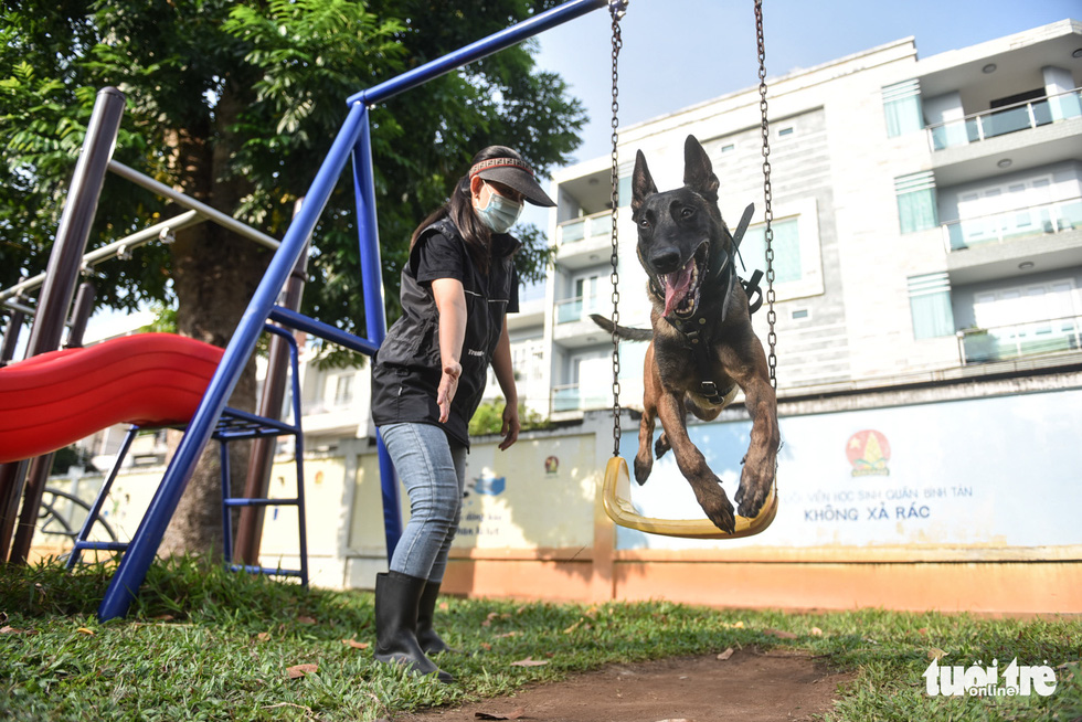 How this dog-bite victim became an expert canine trainer in Vietnam