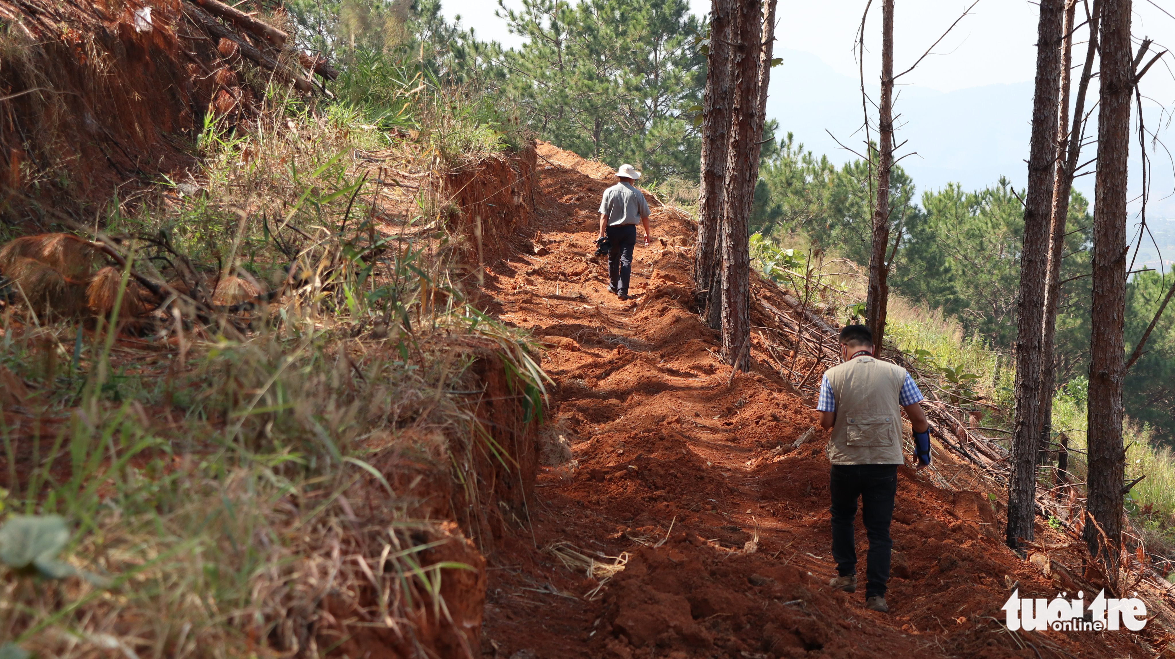 A new trail leading to the affected forest section. Photo: M.V. / Tuoi Tre