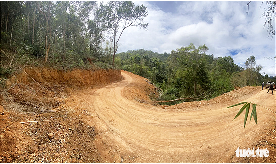 Defense ministry asked to look into deforestation in Central Highlands' mammoth road project