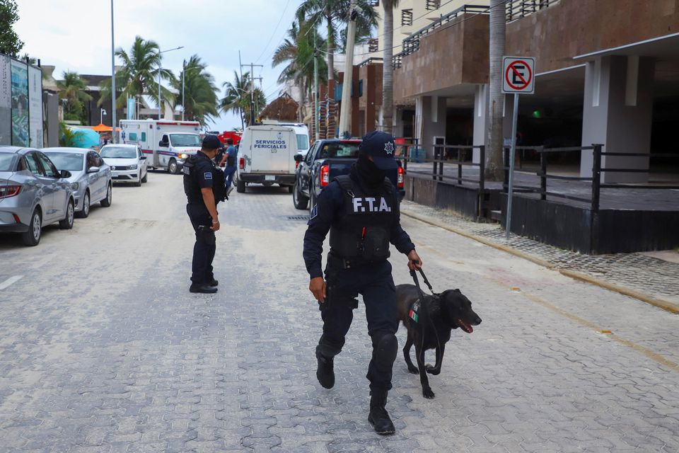 A police officer uses a sniffer dog to patrol near the area where an explosion occurred at the Kool Beach restaurant, presumably caused by gas accumulation, which left four tourists injured, according to local media, in Playa del Carmen, Mexico March 14, 2022. Photo: Reuters