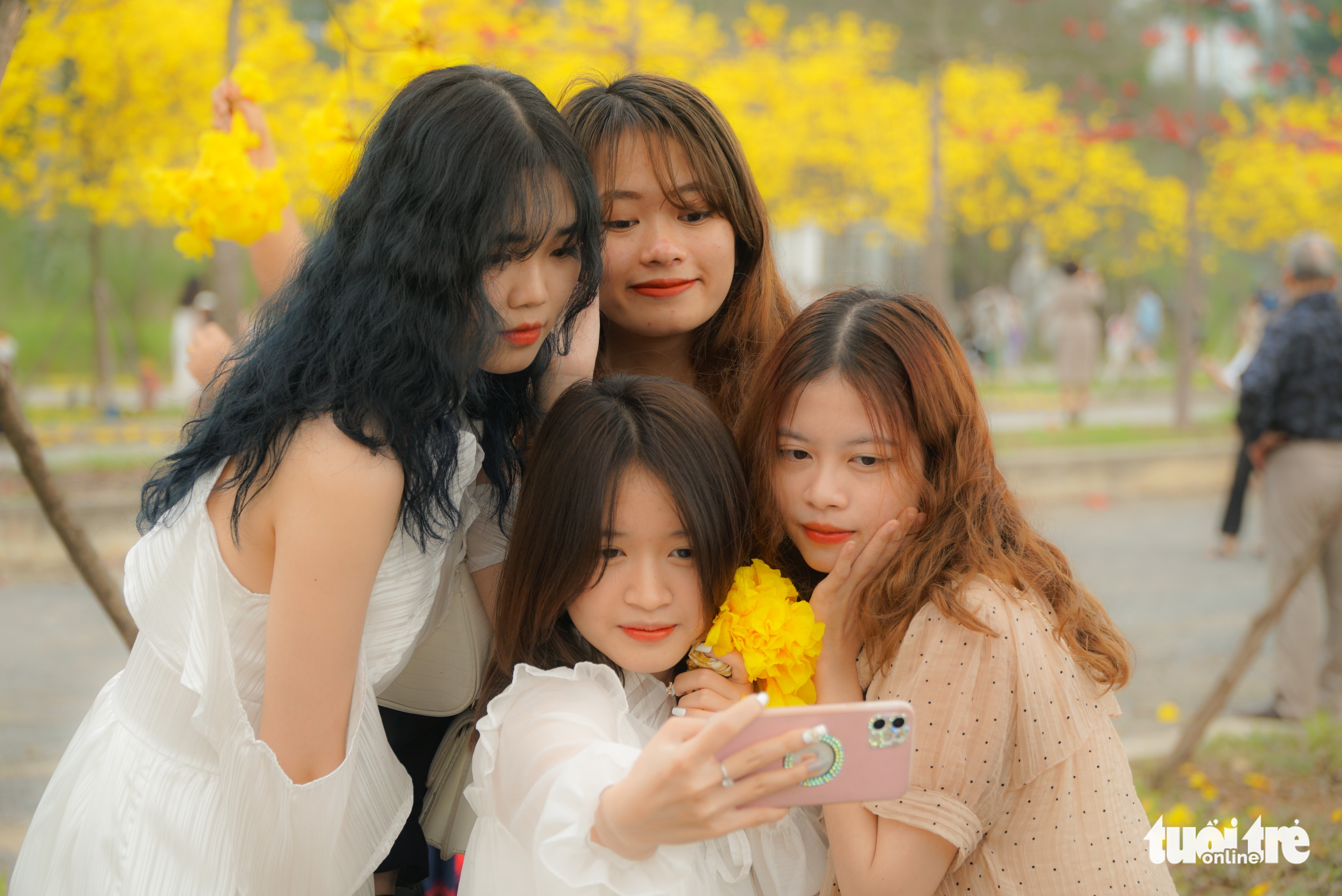 <em>A group of friends take a ‘wefie’ on a Caribbean trumpet tree street at the ParkCity urban area in Ha Dong District, Hanoi. Photo:</em> Nguyen Hien / Tuoi Tre