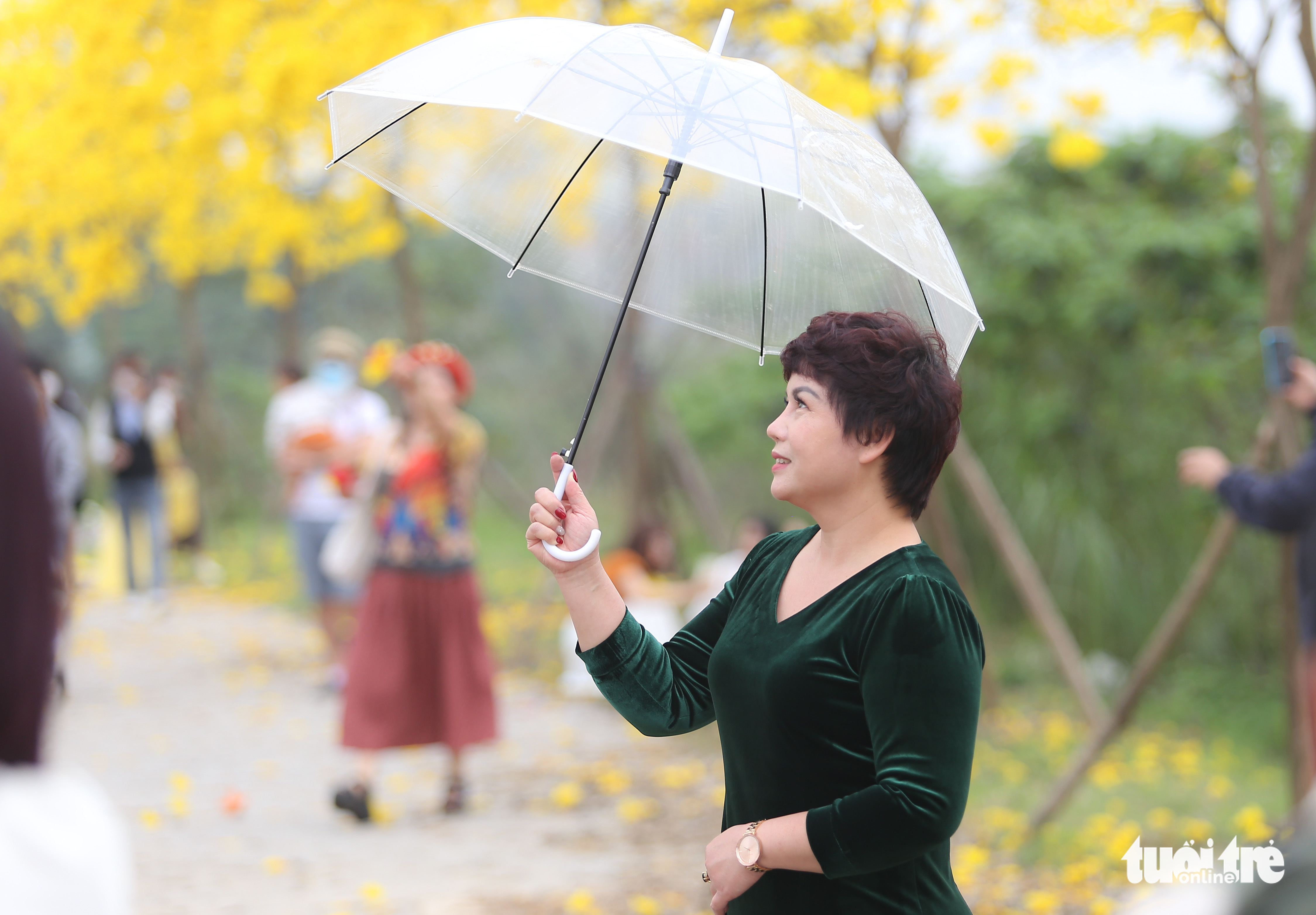 <em>A woman poses for a photo on a Caribbean trumpet tree street at the ParkCity urban area in Ha Dong District, Hanoi. Photo:</em> Ha Quan / Tuoi Tre