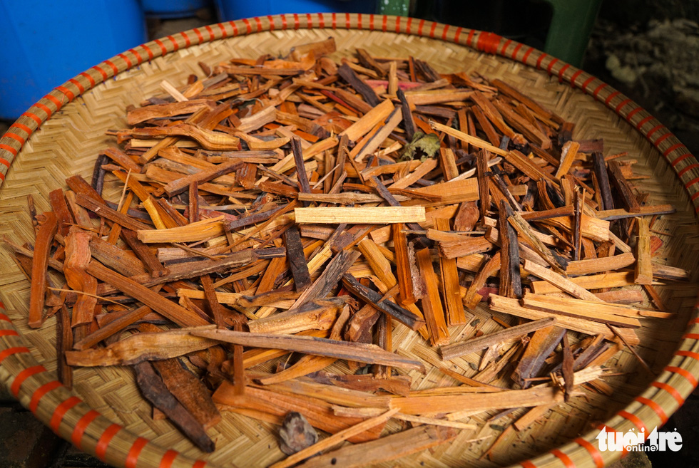 Brezel wood is the main ingredient in nature red dye. Photo: Nguyen Hien / Tuoi Tre