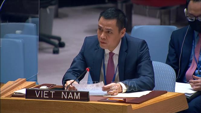 Vietnam ready to join humanitarian efforts for Ukraine: ambassador
