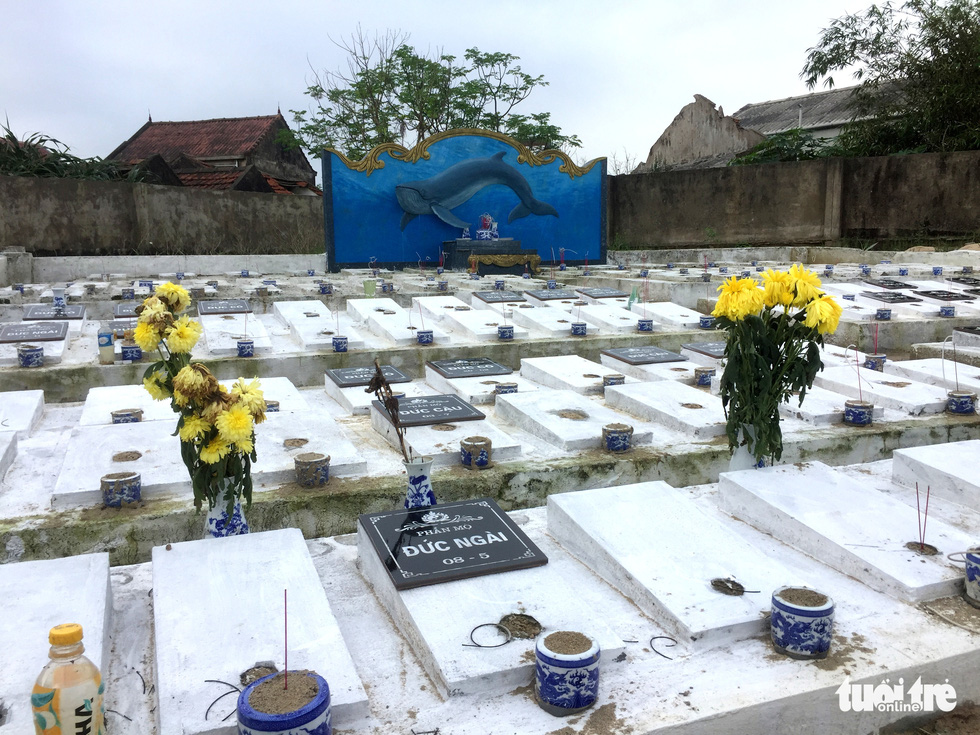 Whale graves built in orderly rows, with gravestones showing the dates the whales passed away. Photo: Le Minh / Tuoi Tre