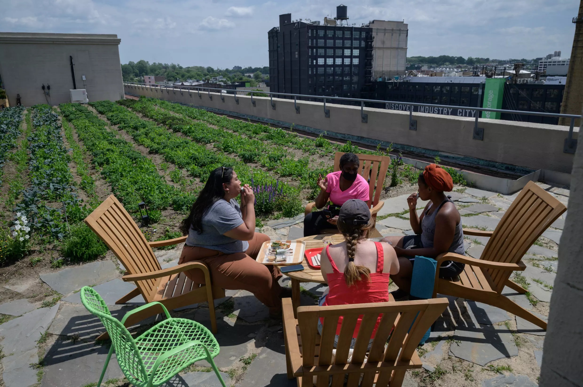Plants on city streets and rooftops can help cool cities in heatwaves and absorb: Photo: AFP