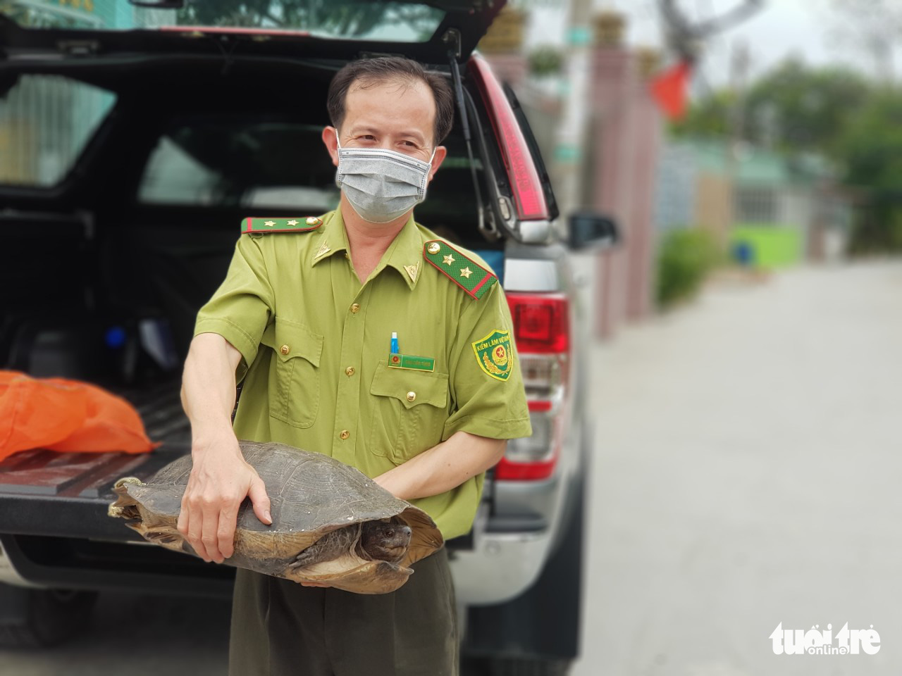 A ranger carries a tortoise handed over by a resident of Binh Chanh District, Ho Chi Minh City, April 18, 2022. Photo: Ngoc Khai / Tuoi Tre