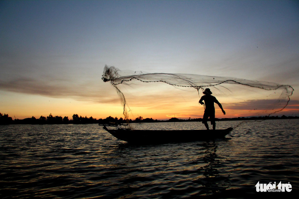 A fisher man cast a nest at Dong Ho Lagoon, Ha Tien City, Kien Giang Province. Photo: C.Cong / Tuoi Tre