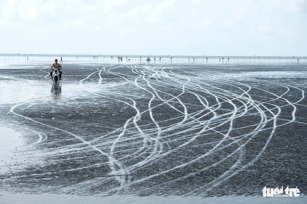 Local residents catch clam at a beach in Can Gio Island District, Ho Chi Minh City. Photo: Quan Nam / Tuoi Tre
