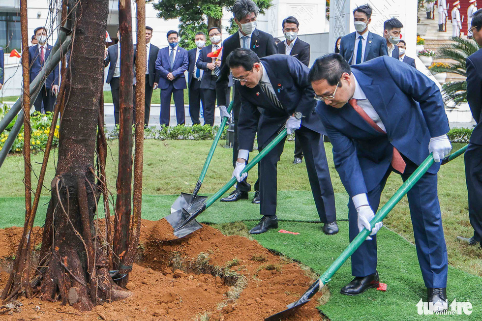 The two prime ministers of Vietnam (right) and Japan are pictured planting a friendship tree in the compound of the Vietnamese government office on May 1, 2022.