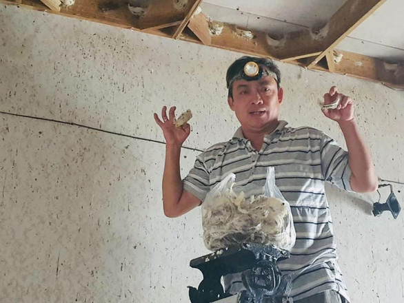 A owner of a bird’s nest house in central Ninh Thuan Province harvests bird’s nests to serve a rising number of retailing customers. Photo: X.M. / Tuoi Tre